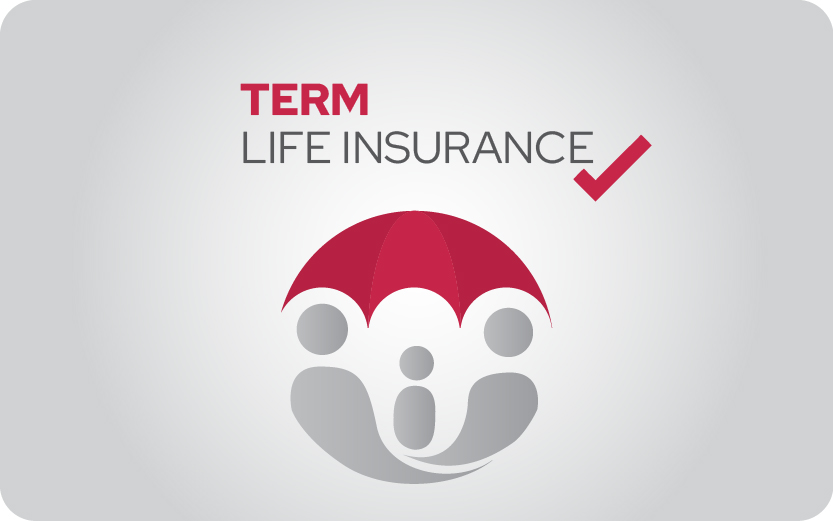 term life insurance in dubai